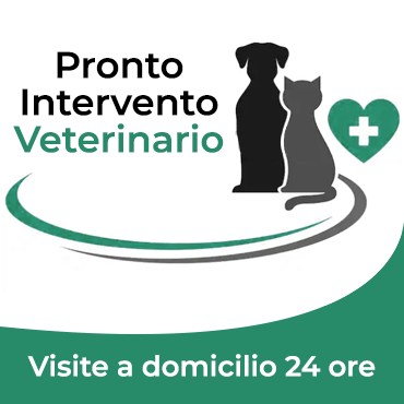 Veterinario a domicilio Novara